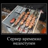 demotivatorium_ru_server_vremenno_nedostupen_41604