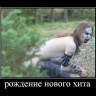 podborka_luchshikh_demotivatorov_76_023