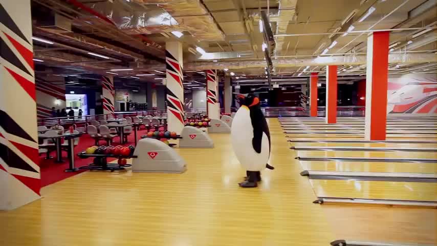 Пингвины в торговом центре