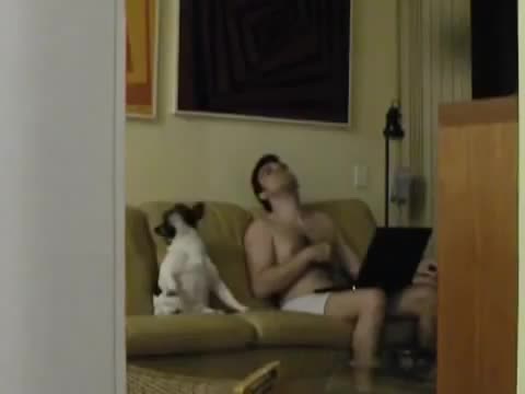 Жена тайком сняла видео как муж танцует с собакой