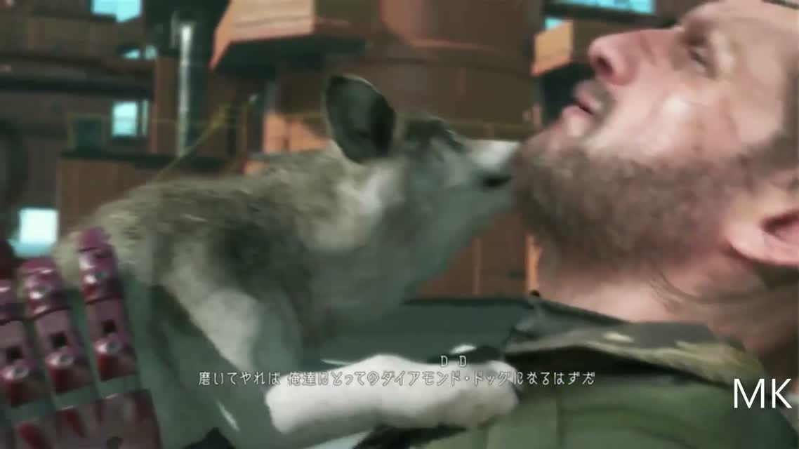 Metal Gear Solid 5 Phantom Pain Gameplay Wolf TGS 2014