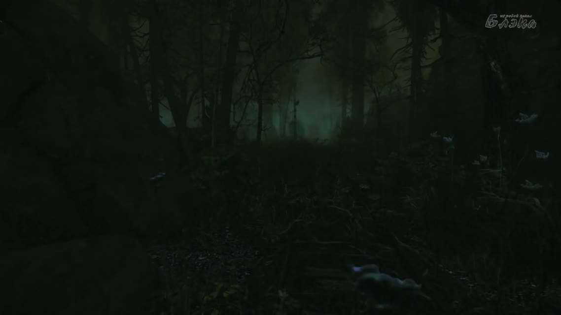 Cursed Forest #3 - Животный ужас
