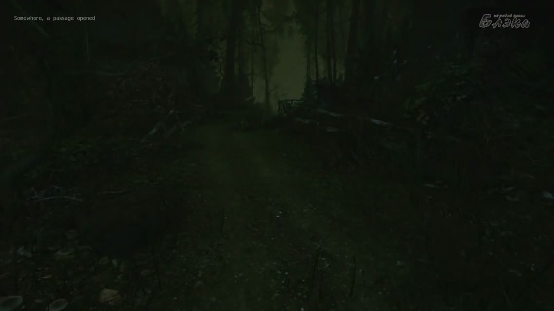 Cursed Forest #2 - Кромешный ад