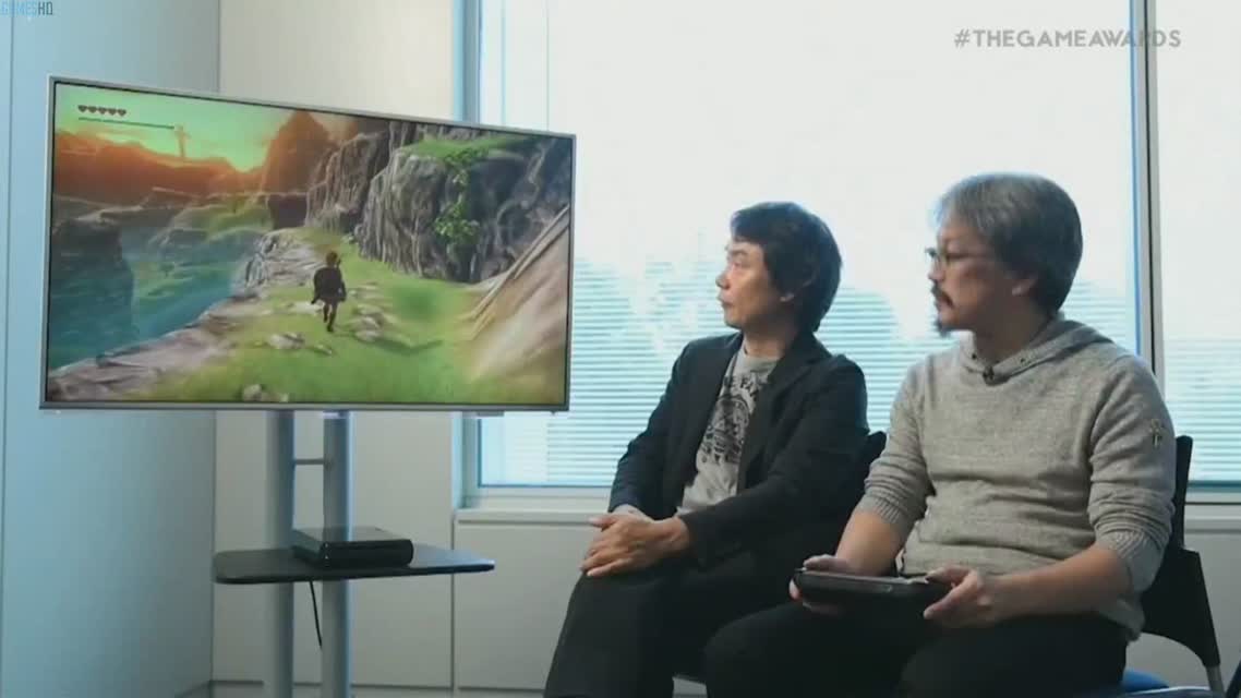 Legend of Zelda Wii U Gameplay Demo