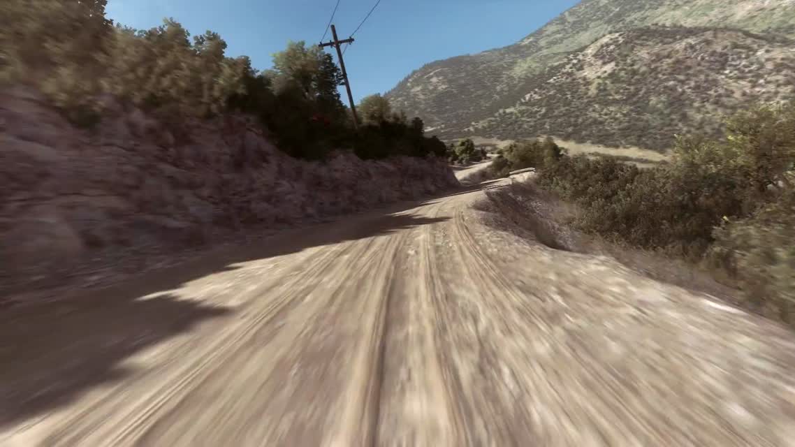 DiRT Rally - Out Now