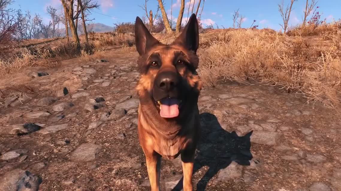 Fallout 4 — Псина на съемках (HD)