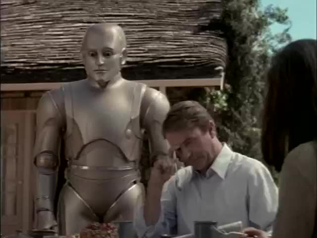 Двухсотлетний человек / Bicentennial Man (1999)