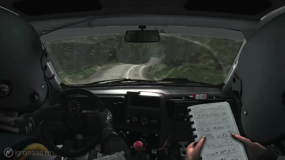 DiRT Rally - Раллийный симулятор 2.0 (Обзор)